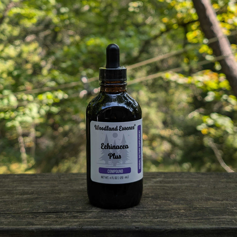 Bottle of Woodland Essence Echinacea Plus on a wooden surface with a blurred natural background