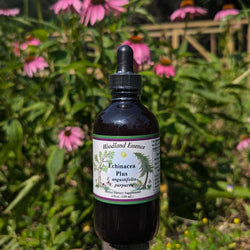 Bottle of Echinacea plus