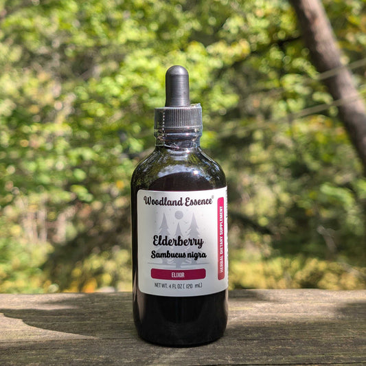 Elderberry Elixir