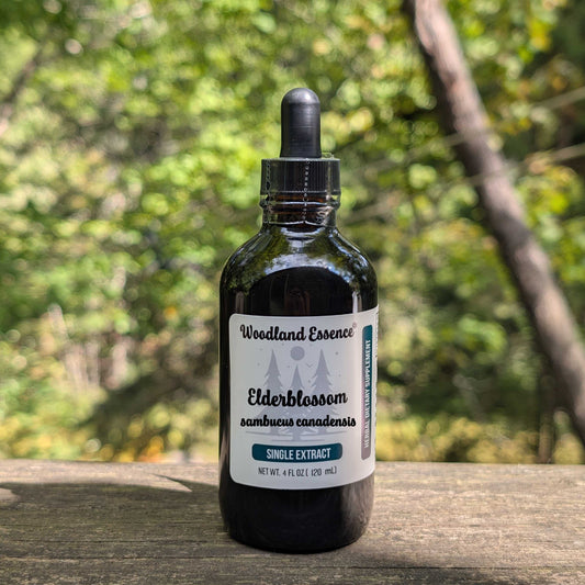 Bottle of Woodland Essence Elderblossom extract on a wooden surface with a blurred natural background