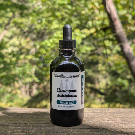 Bottle of Woodland Essence Elecampane Extract on a wooden surface with a blurred natural background