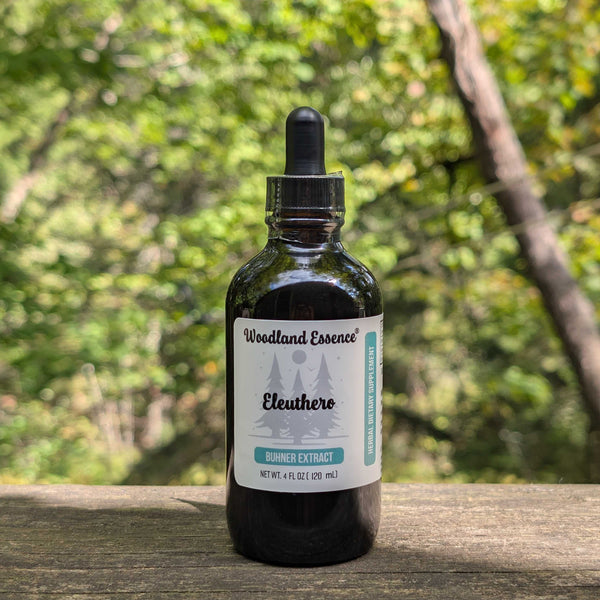Bottle of Woodland Essence Eleuthero Extract on a wooden surface with a blurred natural background