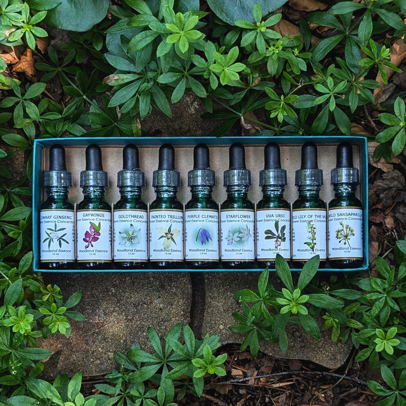 Forest Floor Bottles set 