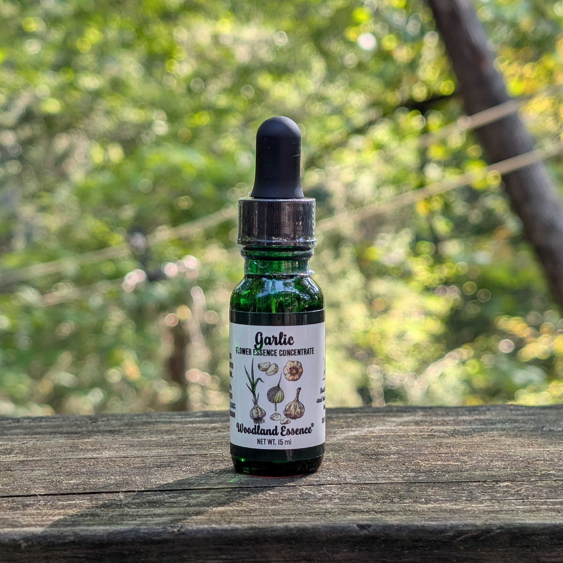 tent essence Garlic Flower Essence – Woodland Essence