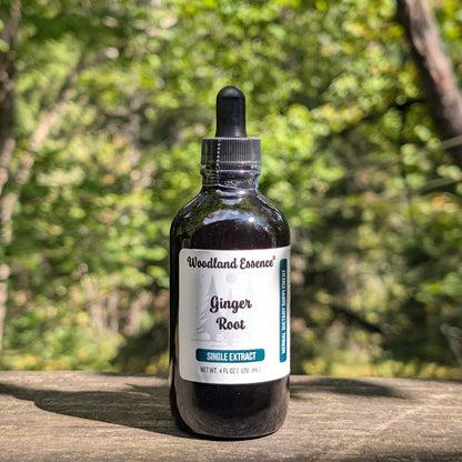 Bottle of Ginger Root Extract 