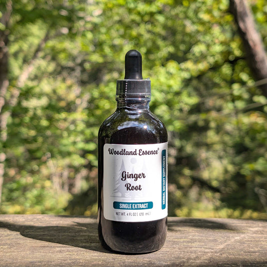 Bottle of Ginger Root Extract 