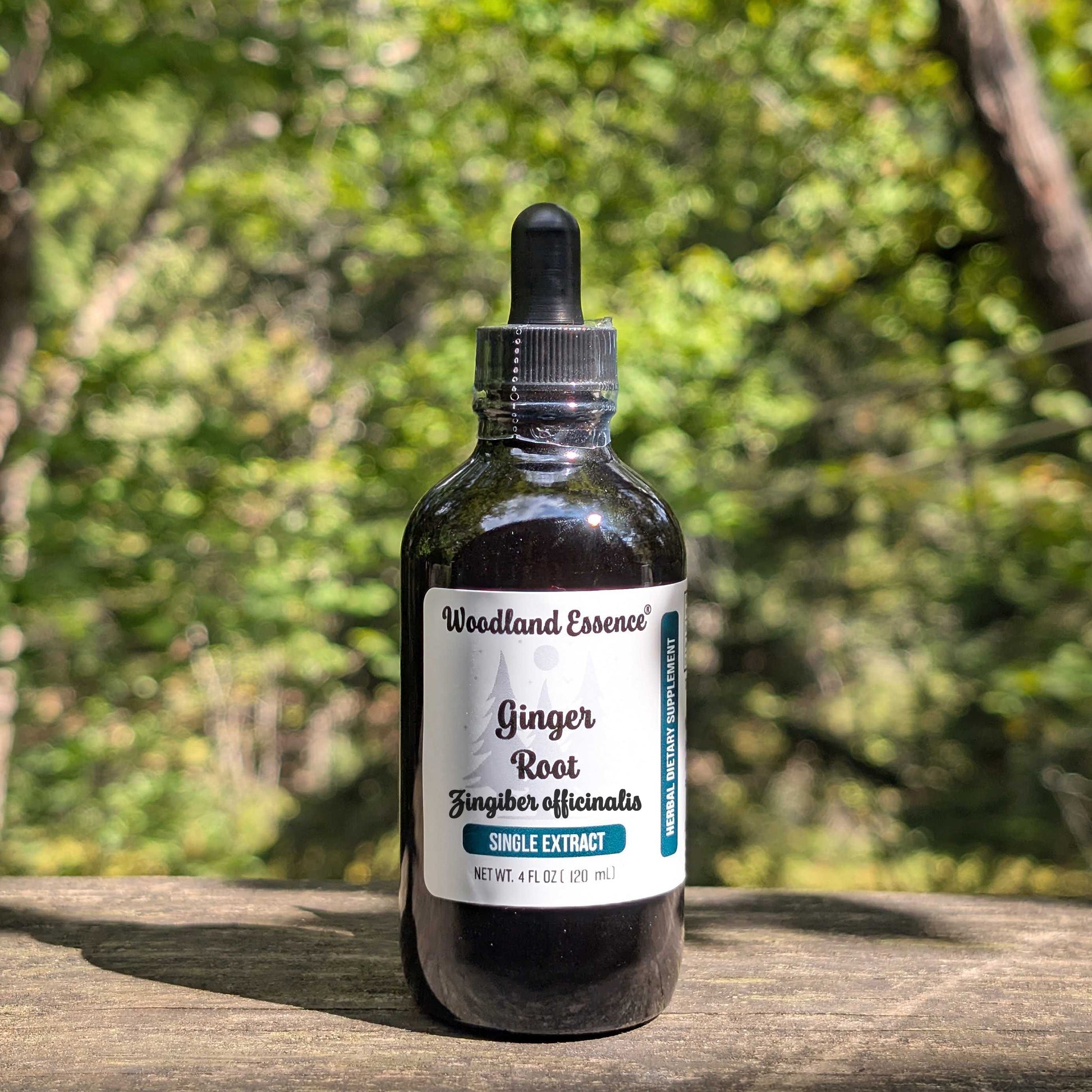 Bottle of Woodland Essence Ginger Root tincture on a wooden surface with a natural background