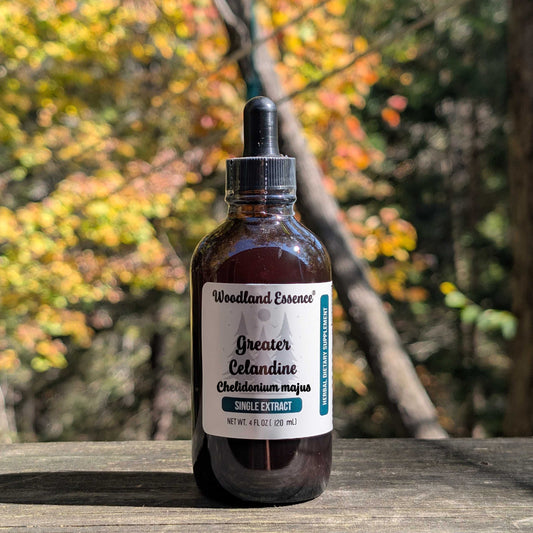 Bottle of Woodland Essence Greater Celandine extract on a wooden surface with autumn foliage in the background