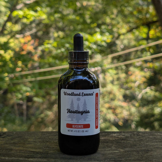 Bottle of Woodland Essence Houttuynia on a wooden surface with a blurred natural background