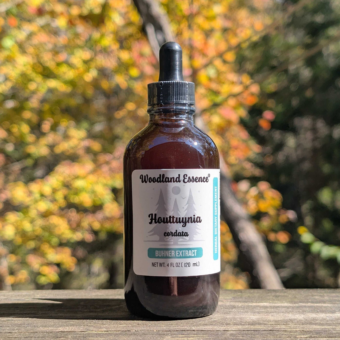 Bottle of Woodland Essence Houttuynia cordata Burner Extract against a blurred natural background