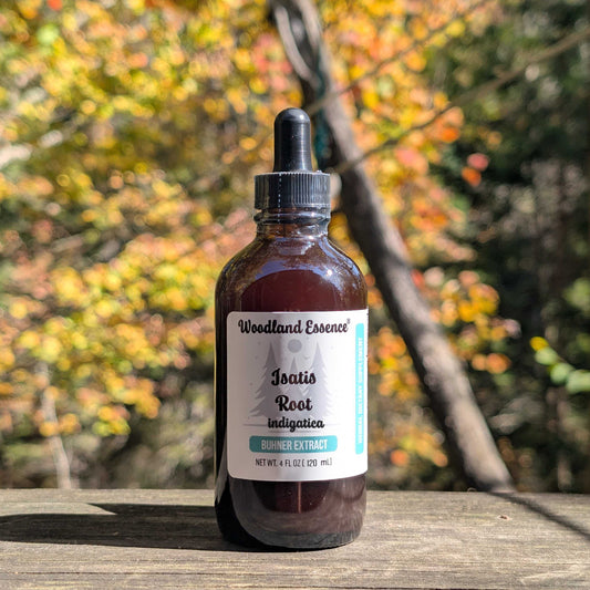 Bottle of Woodland Essence Isatis Root extract with a blurred autumn forest background
