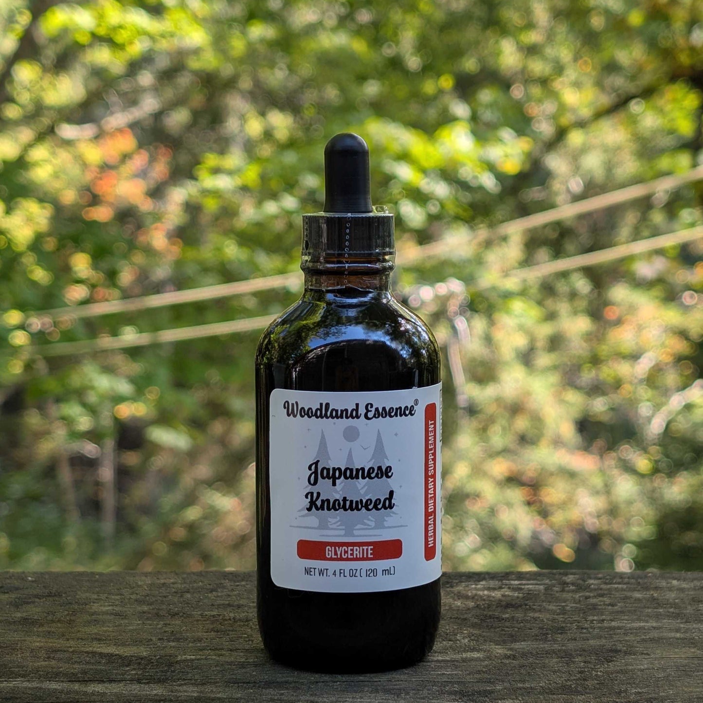 Bottle of Woodland Essence Japanese Knotweed Glycerite with a blurred natural background