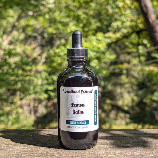 Lemon Balm Extract