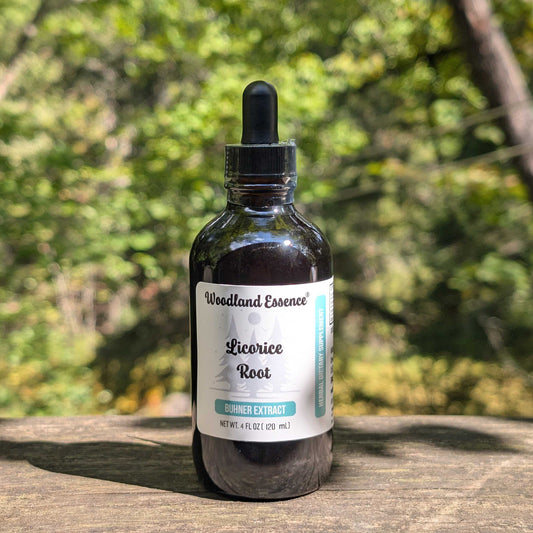 Bottle of Woodland Essence Licorice Root tincture on a wooden surface with a blurred natural background