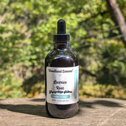 bottle of licorice root extract 