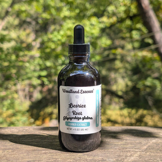 bottle of licorice root extract 