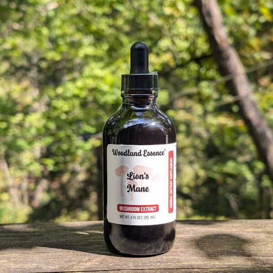 Bottle of Woodland Essence Lion's Mane mushroom extract on a wooden surface with a blurred natural background