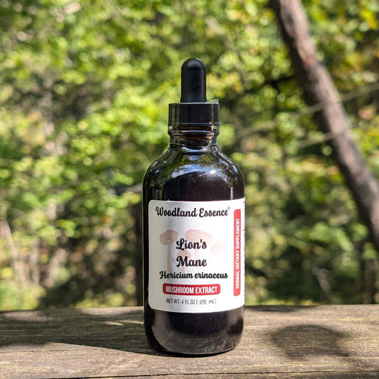 Lion's Mane Extract