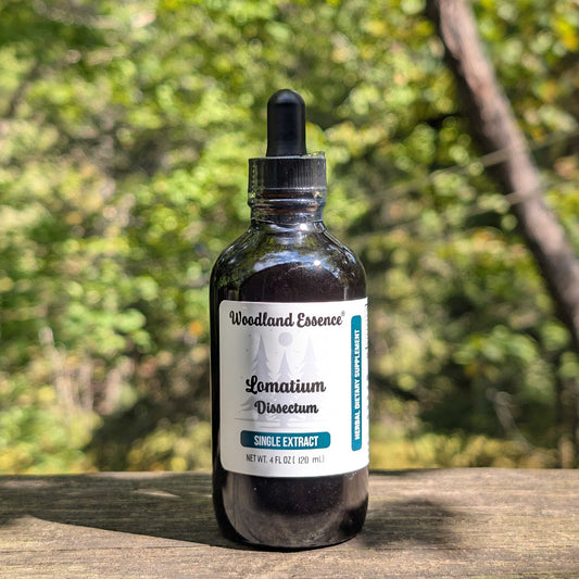 bottle of lomatium extract 