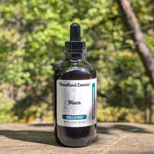 Bottle of Woodland Essence Maca extract on a wooden surface with a blurred natural background