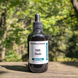 Bottle of Woodland Essence Milk Thistle extract on a wooden surface with a blurred natural background