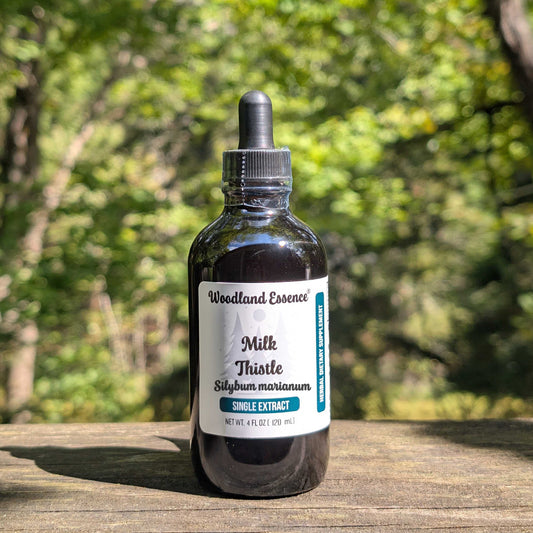Milk Thistle Seed Extract