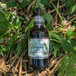 bottle of motherwort 