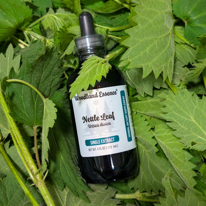 Bottle of Woodland Essence Nettle Leaf extract surrounded by nettle leaves