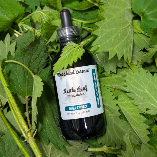 Bottle of Woodland Essence Nettle Leaf extract surrounded by nettle leaves