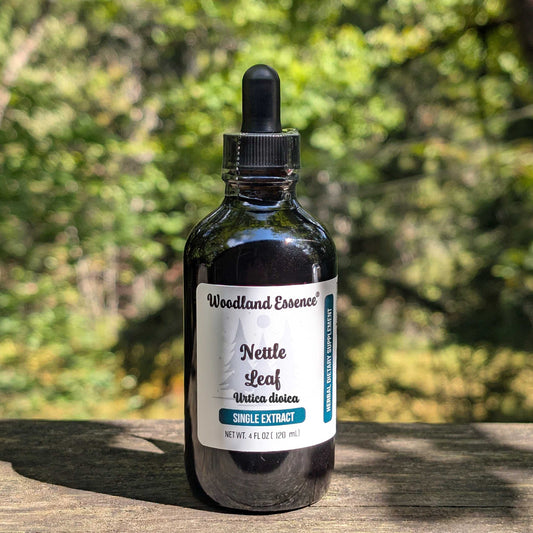 Nettle LEAF Extract