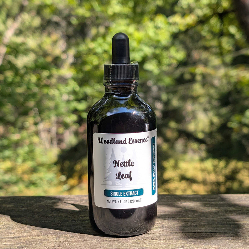 Nettle LEAF Extract