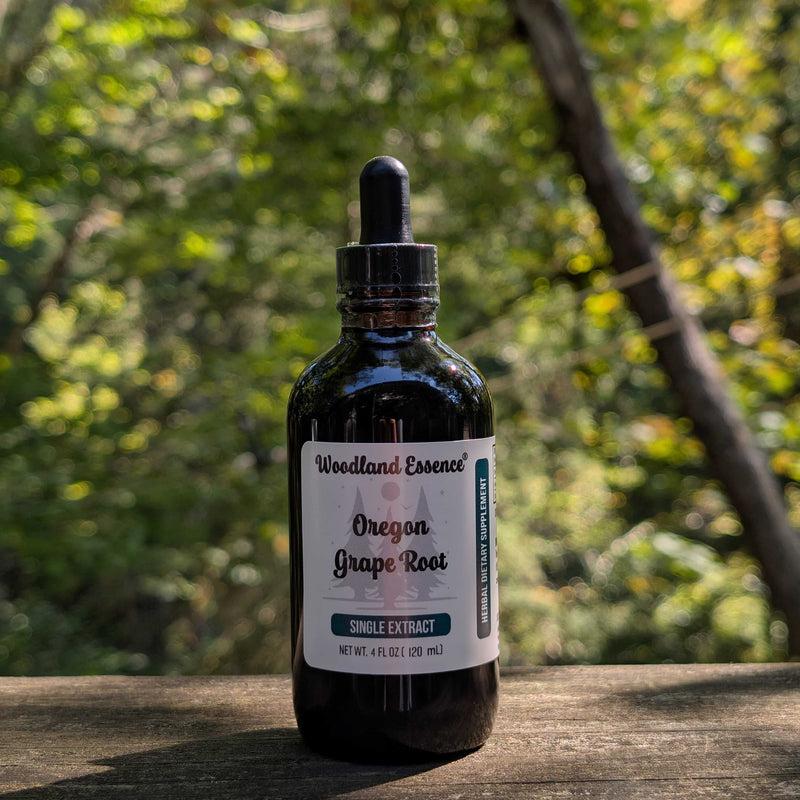 Bottle of Woodland Essence Oregon Grape Root extract on a wooden surface with a blurred natural background