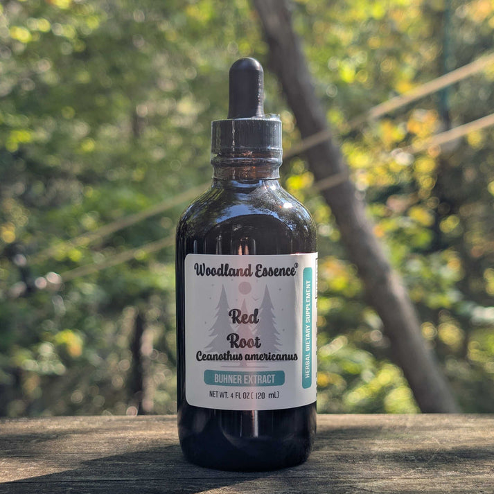 Red Root Supplement Red Root Extract – Woodland Essence