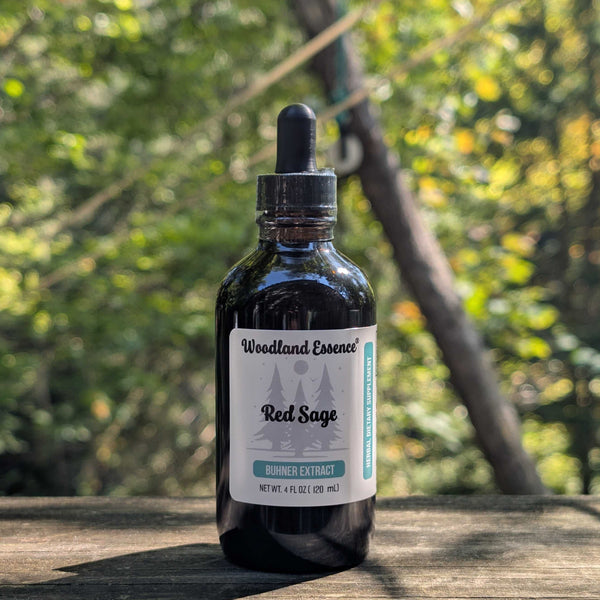 Bottle of Woodland Essence Red Sage tincture on a wooden surface with a blurred natural background