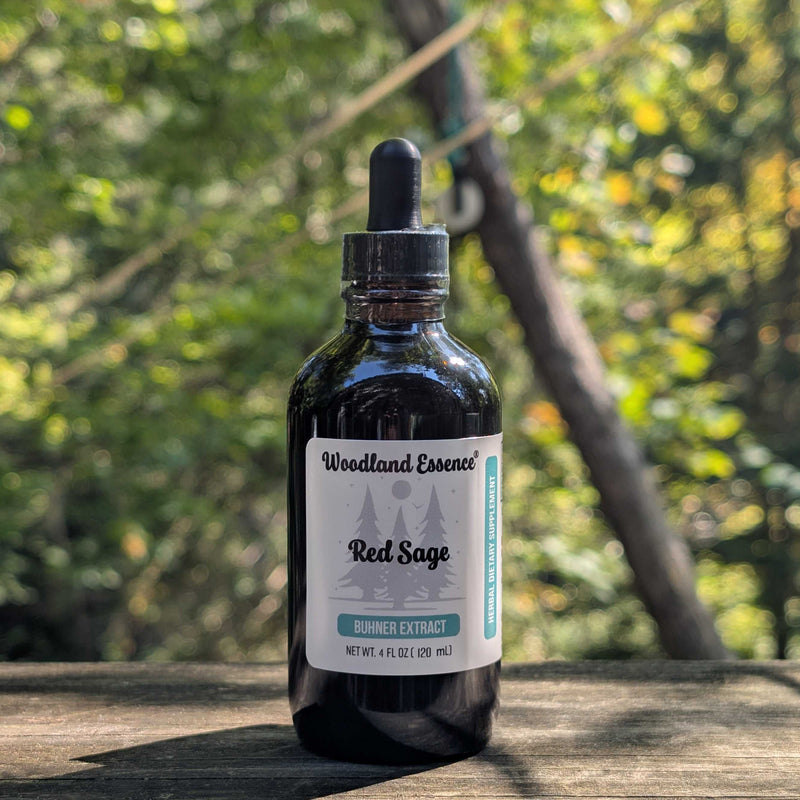 Bottle of Woodland Essence Red Sage tincture on a wooden surface with a blurred natural background