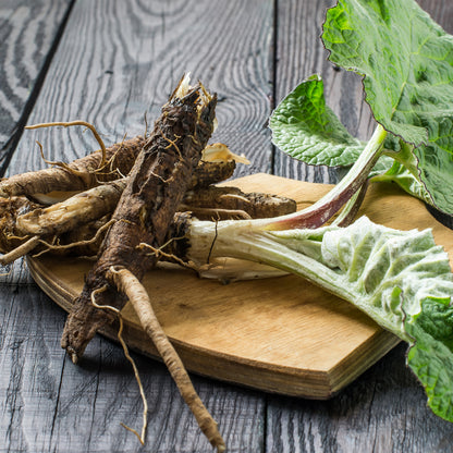 Spring Herbal Bitters Formula