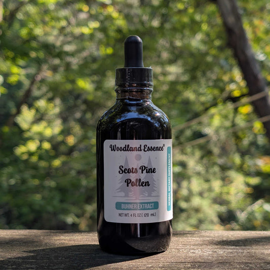 Bottle of Woodland Essence Scots Pine Pollen Extract on a wooden surface with a natural background