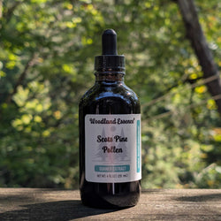 Bottle of Woodland Essence Scots Pine Pollen Extract on a wooden surface with a natural background
