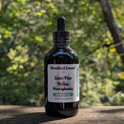 Bottle of Woodland Essence Scots Pine Pollen on a wooden surface with a blurred natural background
