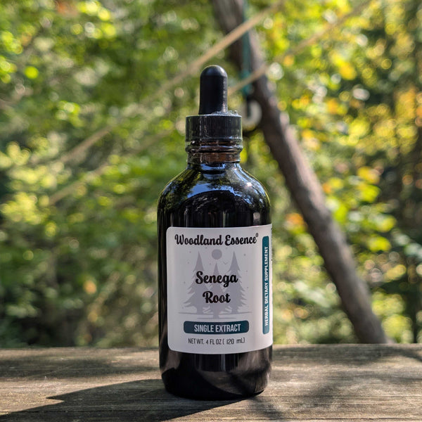 Bottle of Woodland Essence Senega Root extract on a wooden surface with a blurred natural background