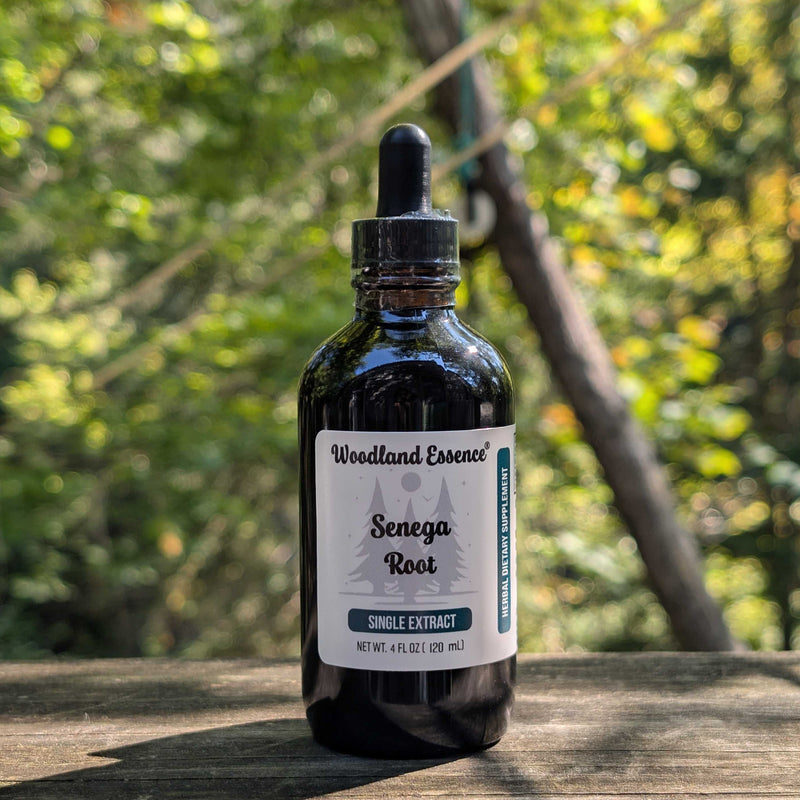 Bottle of Woodland Essence Senega Root extract on a wooden surface with a blurred natural background