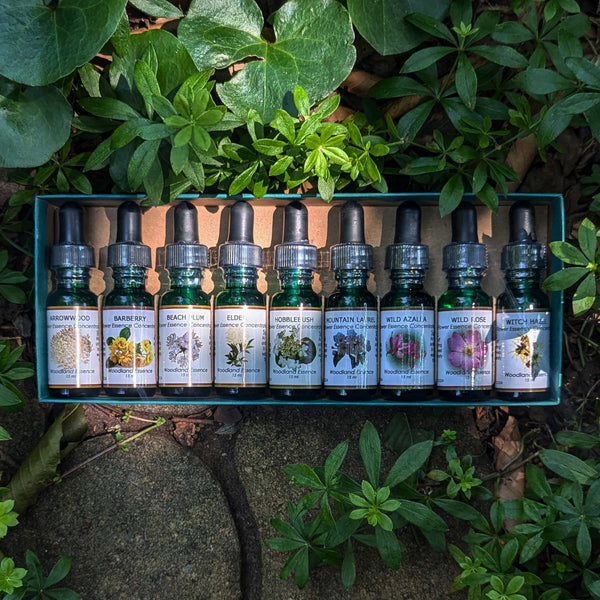 shrub bottles 