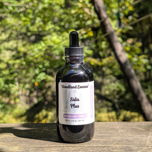 Sida PLUS Extract