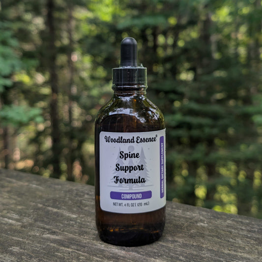 A 4 fl oz amber glass dropper bottle of Woodland Essence Spine Support Formula, placed on a weathered wooden surface with a blurred forest background.