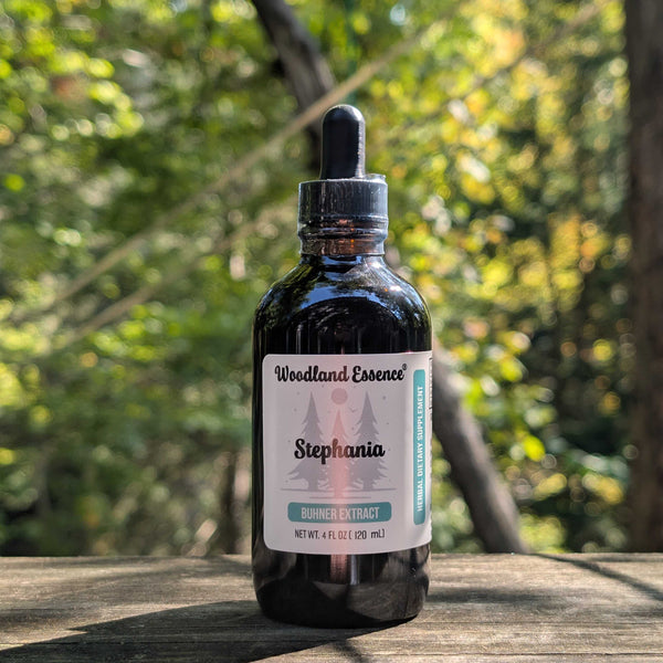 bottle of Stephania extract