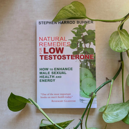 Book titled 'Natural Remedies for Low Testosterone' by Stephen Harrod Buhner on a beige surface with green leaves.