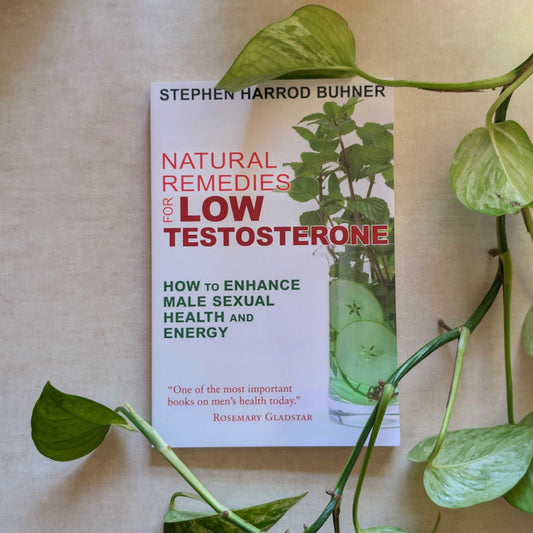Book titled 'Natural Remedies for Low Testosterone' by Stephen Harrod Buhner on a beige surface with green leaves.
