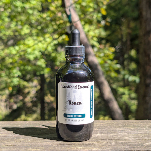 Bottle of Woodland Essence Usnea tincture on a wooden surface with a forest background