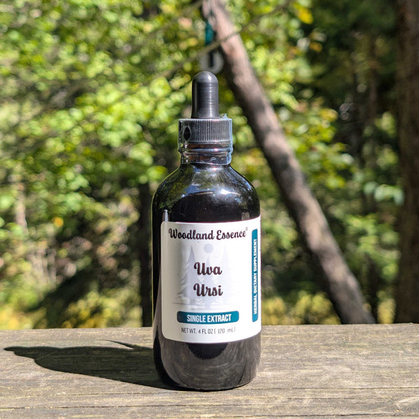 Bottle of Uva Ursi 