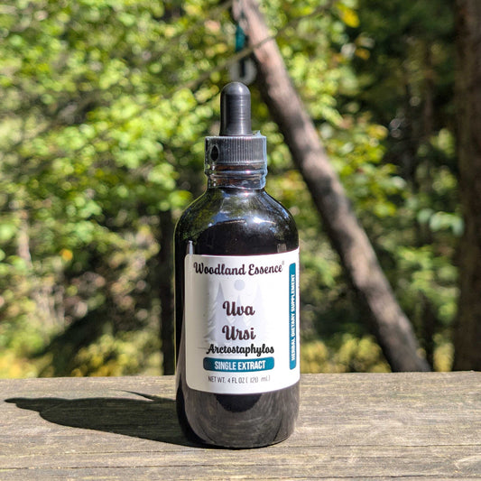 Bottle of Woodland Essence Uva Ursi Arctostaphylos on a wooden surface with a forest background